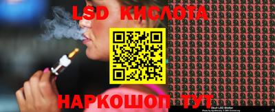 шишки Лесосибирск