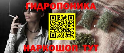 шишки Лесосибирск