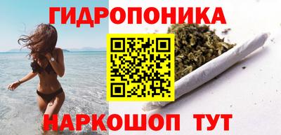 шишки Лесосибирск