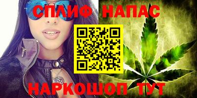 шишки Лесосибирск