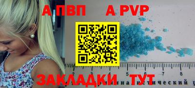 шишки Лесосибирск